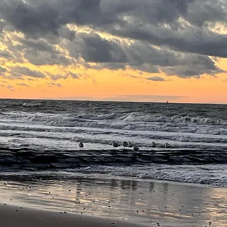 Διαμέρισμα Casino