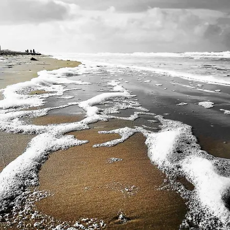 Διαμέρισμα Casino Middelkerke